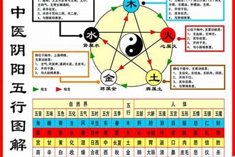 1984年生肖五行|1984年五行属什么？1984年出生是什么命？